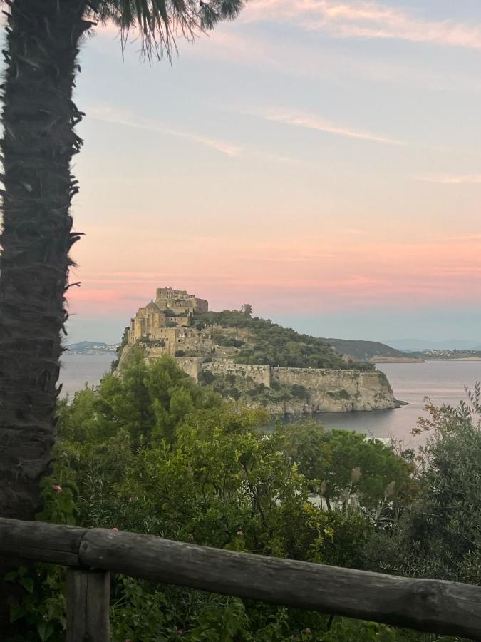 Villa To Ischia With Love Dış mekan fotoğraf